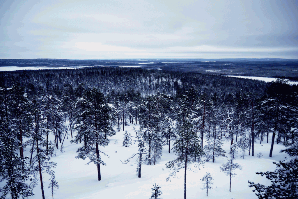 Lappland - ein Wintermärchen • theocherfox